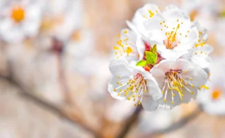 Майские праздники в Казахстане: почти две недели отдыха!