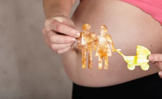 Суд в Акмолинской области наказал суррогатную мать за неявку на процедуру