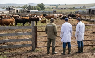 Ликвидация ОПГ ветеринаров в Западно-Казахстанской области