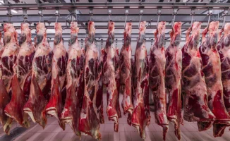 Казахстан и Турция: халяльное мясо как ключ к партнёрству