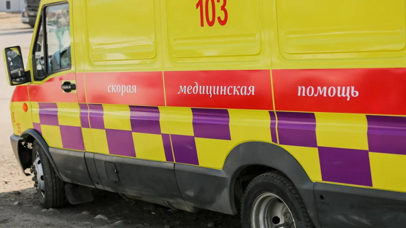 Бруцеллёз в Северо-Казахстанской области: три случая заражения